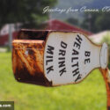 Be healthy drink milk mailbox in East Canaan, CT